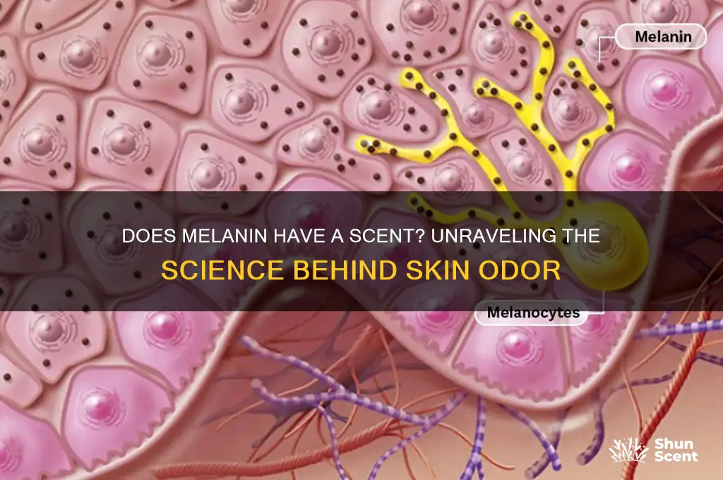 does melanin have a scent