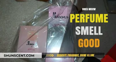 Meow Perfume: Does it Smell Good?