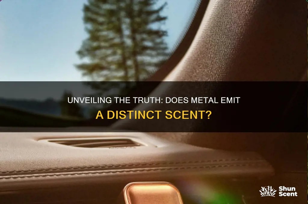 does metal have a scent
