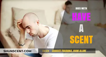 Unveiling the Truth: Does Meth Have a Distinct Scent?