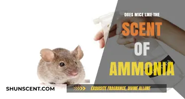 Does Ammonia Repel Mice? Uncovering the Truth About This Common Scent