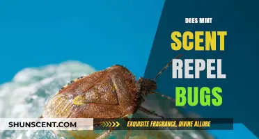 Mint Scent: Effective Bug Repellent or Just a Fresh Aroma?
