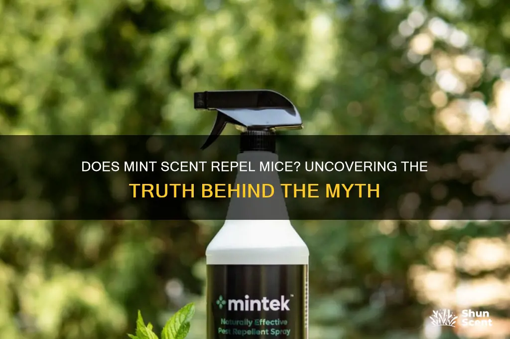 does mint scent repel mice