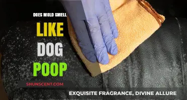 Unveiling the Truth: Does Mold Really Smell Like Dog Poop?