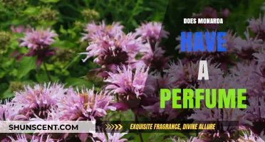Monarda's Perfume: A Fragrant Wonder
