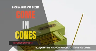 Morning Star Incense: Cone-Shaped Scents for Your Morning Ritual