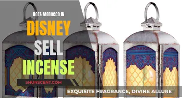 Morocco in Disney: Incense and Beyond