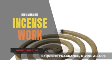 Mosquito Incense: Effective Pest Control or Just Smoke?