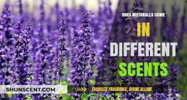 Exploring Mothball Scents: Do They Come in Different Aromas?