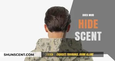 Does Mud Mask Scent? Unveiling the Truth for Hunters and Pets