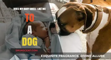 Canine Perception: Does Your Baby Carry Your Scent to a Dog?