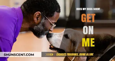 Can Your Dog's Scent Transfer to You? Exploring the Science Behind It