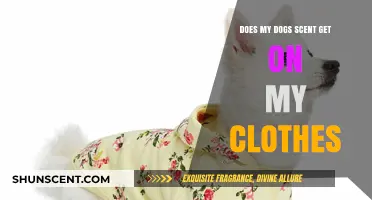Does Your Dog's Scent Stick to Your Clothes? Here's Why
