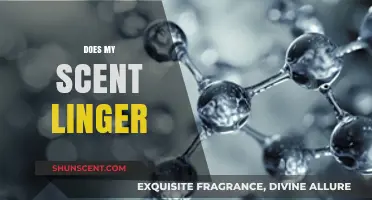 Does My Scent Linger? Exploring the Science Behind Lasting Fragrances
