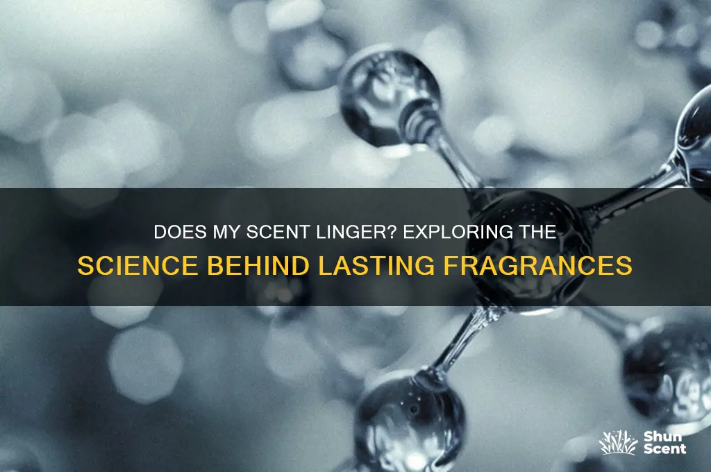 does my scent linger