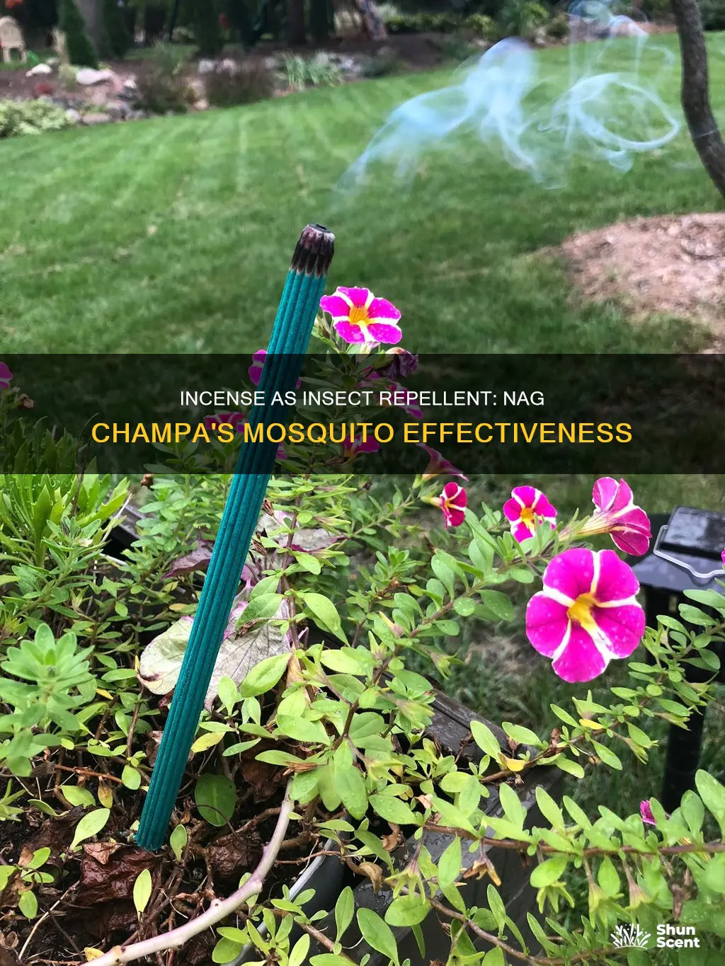 does nag champa incense repel mosquitoes
