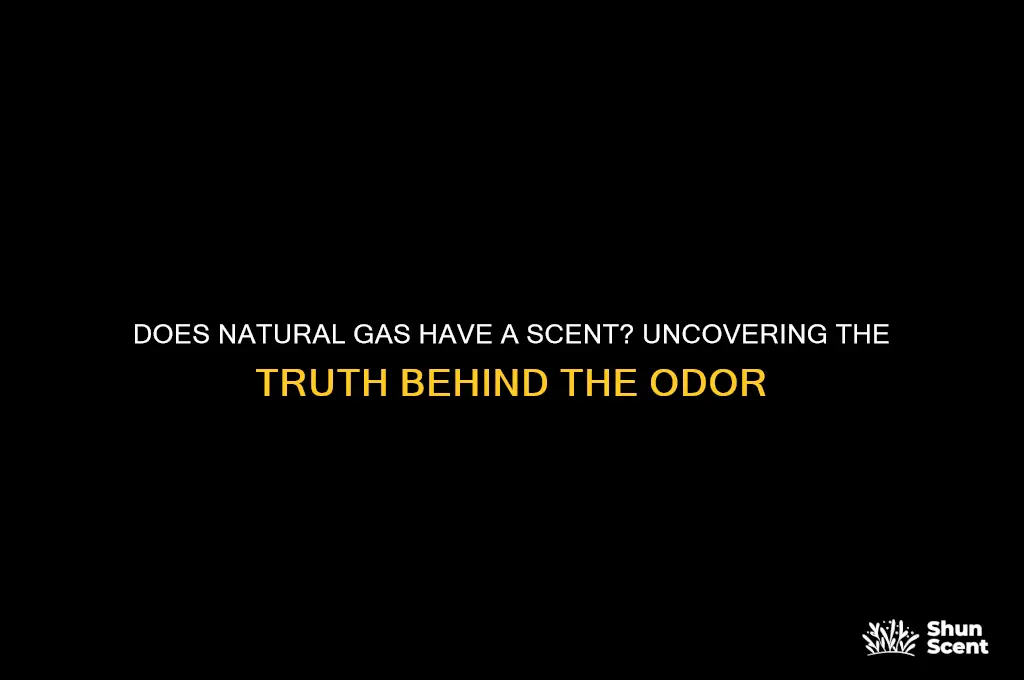 does natural gas have a scent