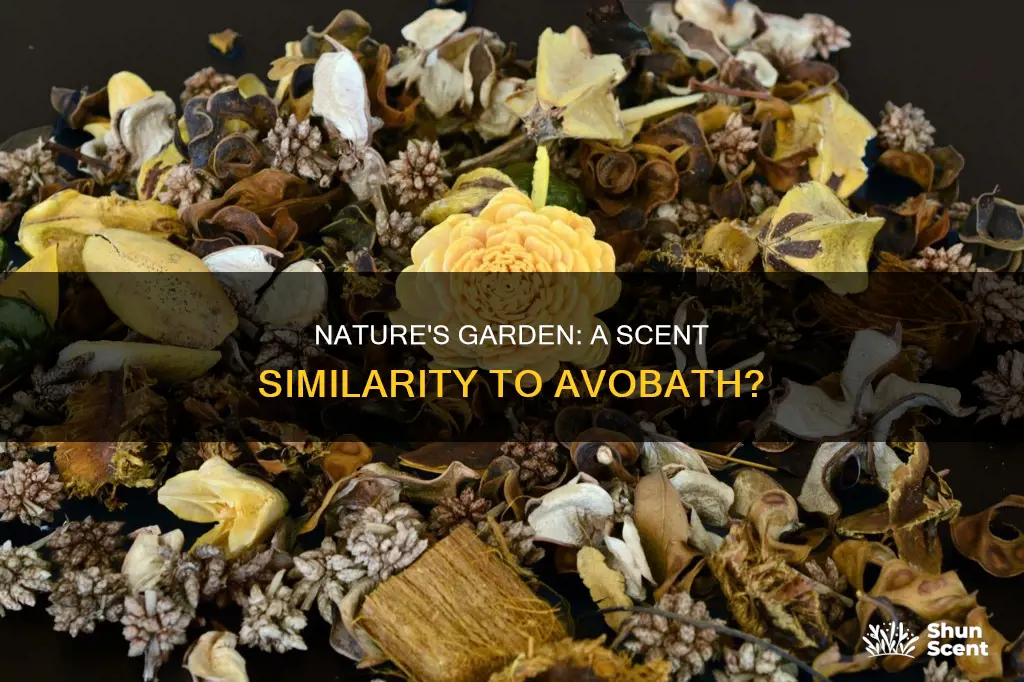 does natures garden have a fragrance close to avobath