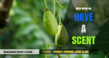 Does Neem Oil Smell? Uncovering Its Unique Aroma and Uses