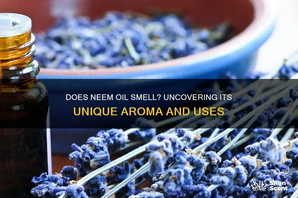 does neem oil have a scent