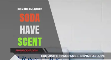 Does Nellie's Laundry Soda Have Scent? Uncovering the Truth