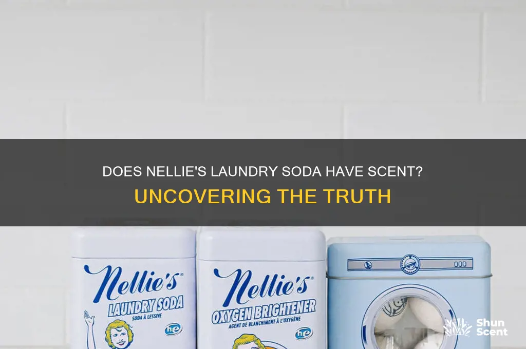 does nellies laundry soda have scent