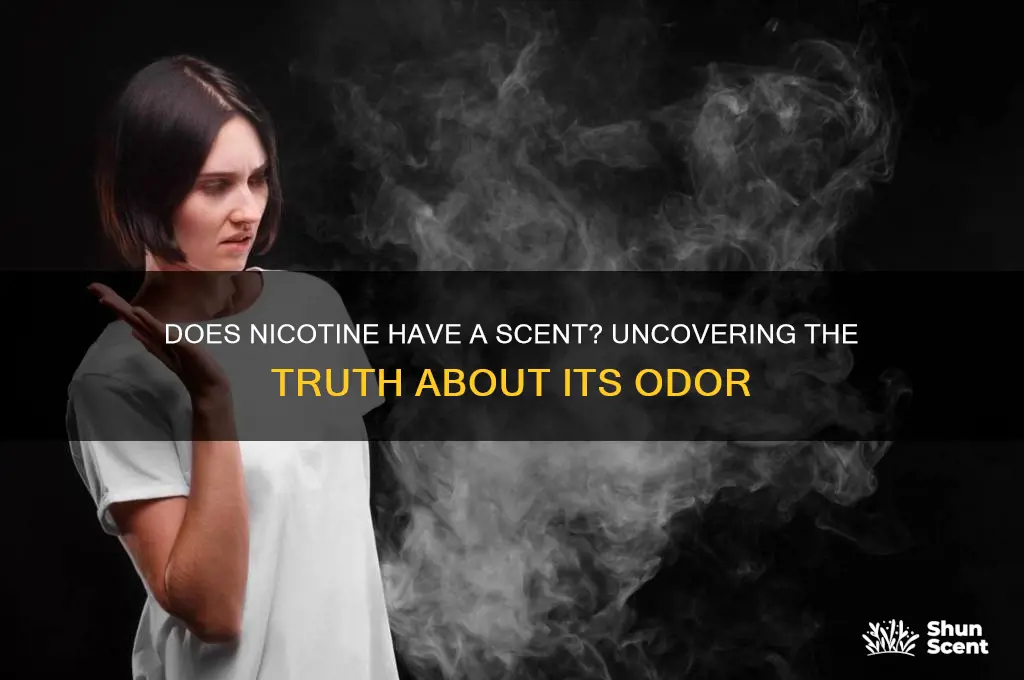 does nicotine have a scent