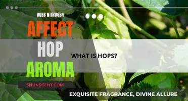 Hop Aroma Science: Nitrogen's Influence Explored