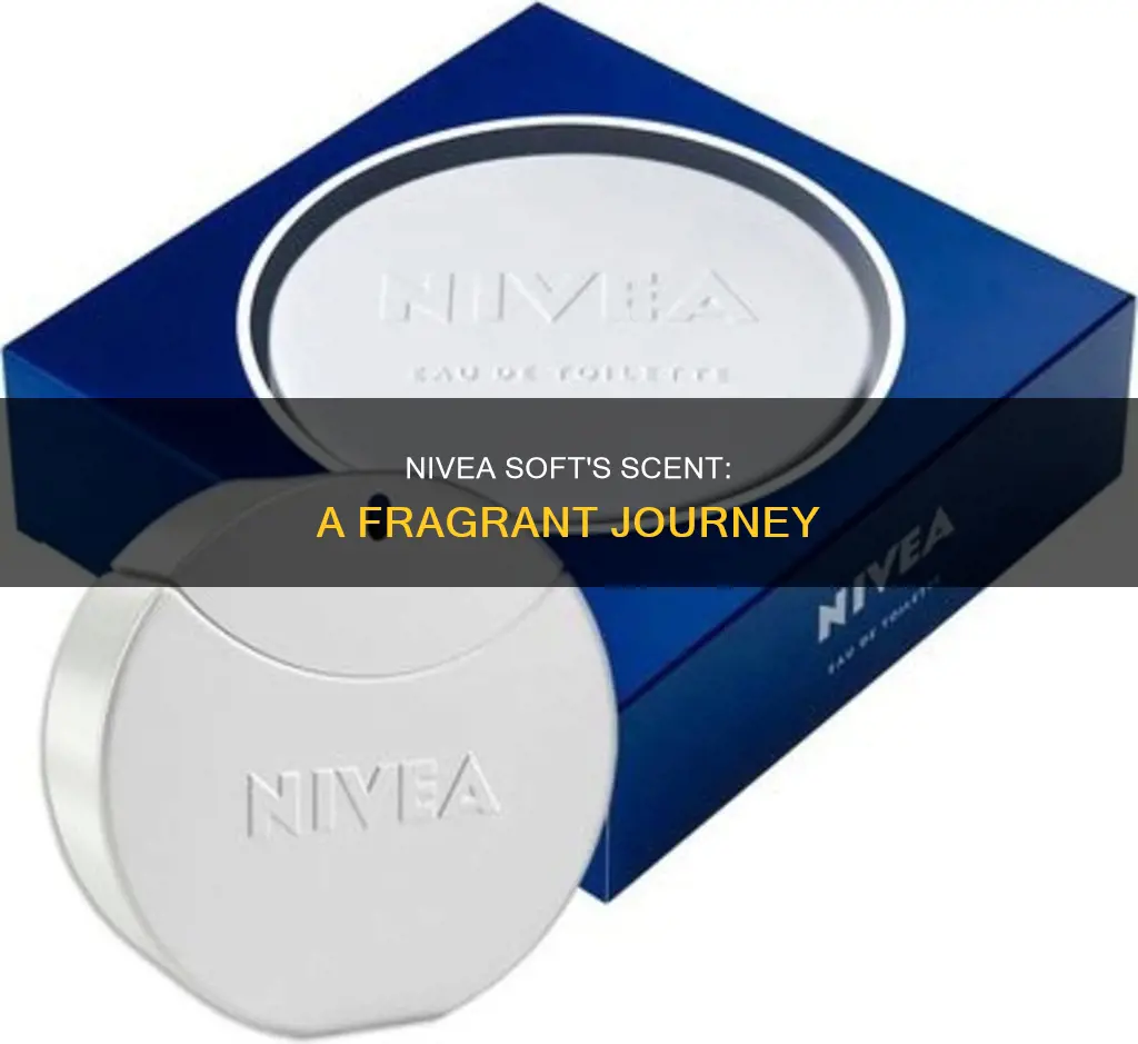 does nivea soft have fragrance