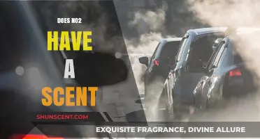 Does NO2 Have a Scent? Unveiling the Odor Truth