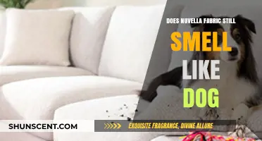 Unraveling the Mystery: Does Nuvella Fabric Retain Pet Odors?