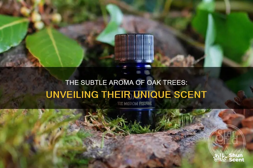 does oak tree have a scent
