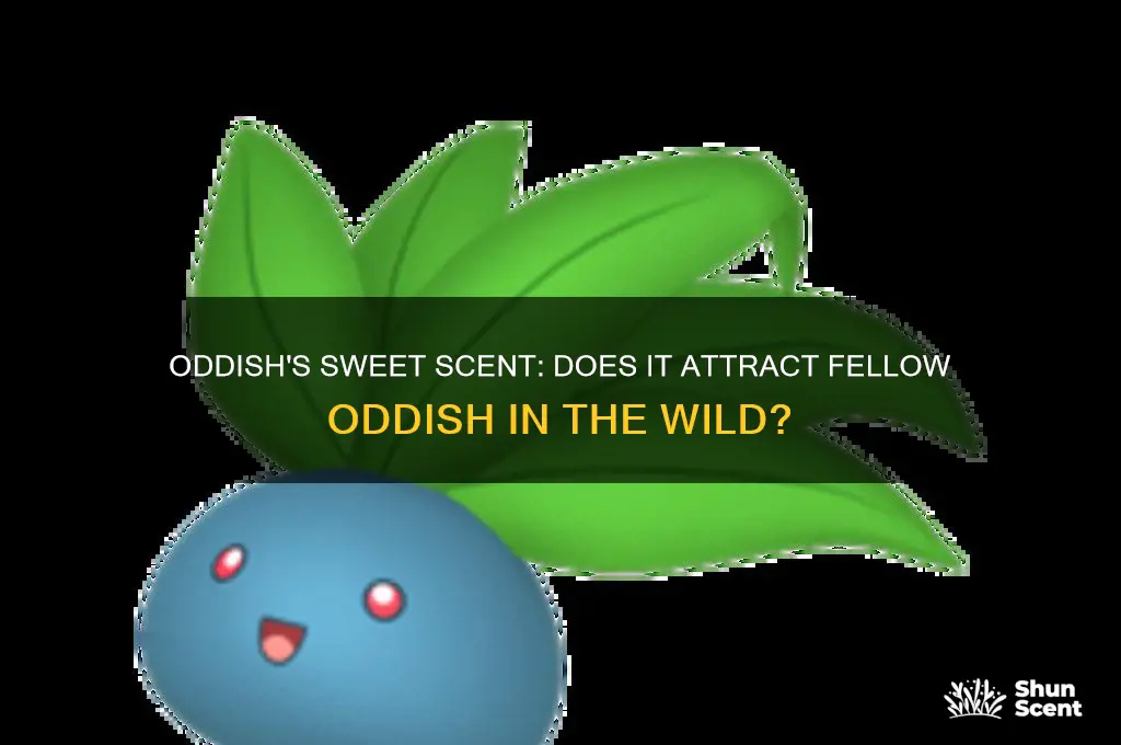 does oddish sweet scent attract other oddish
