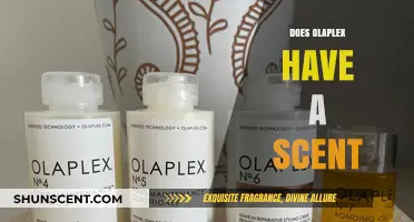 Does Olaplex Have a Scent? Uncovering the Truth About Its Fragrance