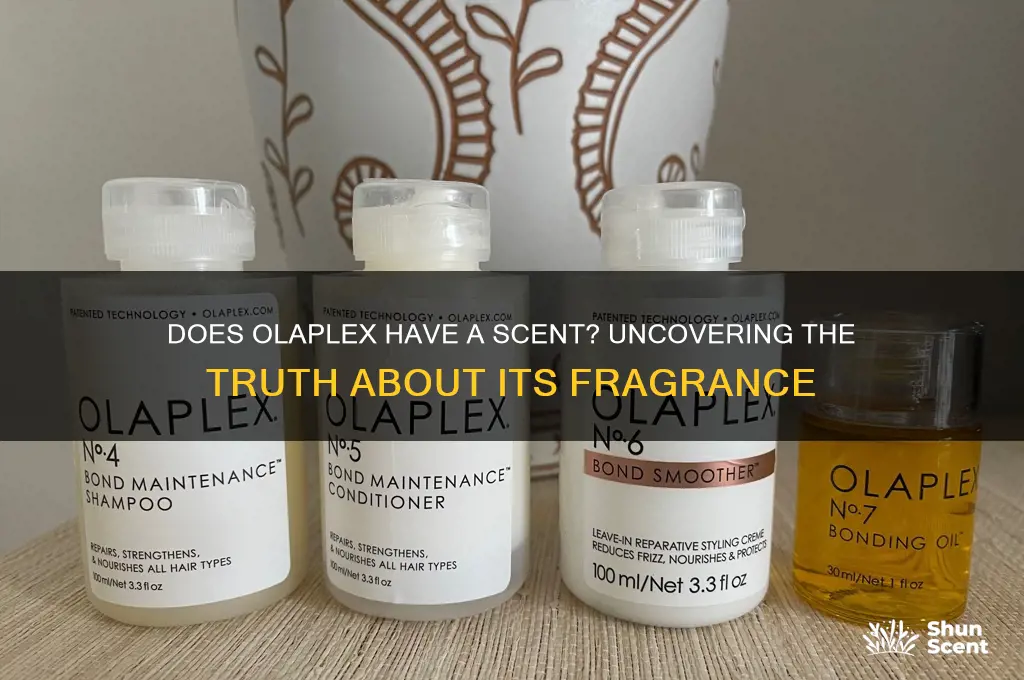 does olaplex have a scent
