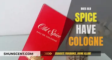 Old Spice: More Than Just a Classic Men's Cologne