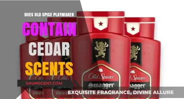 Does Old Spice Playmaker Include Cedar Scents? A Fragrance Review