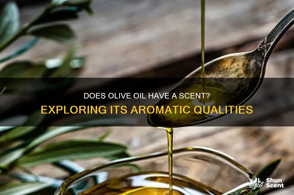 does olive oil have a scent