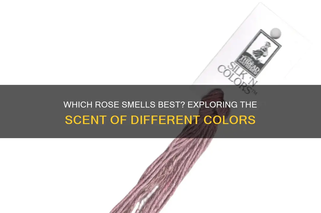 does one color rose have a better scent