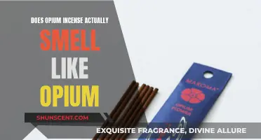 Opium Incense: Does It Smell Like the Real Deal?
