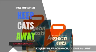 Orange Scent as a Cat Deterrent: Fact or Fiction?