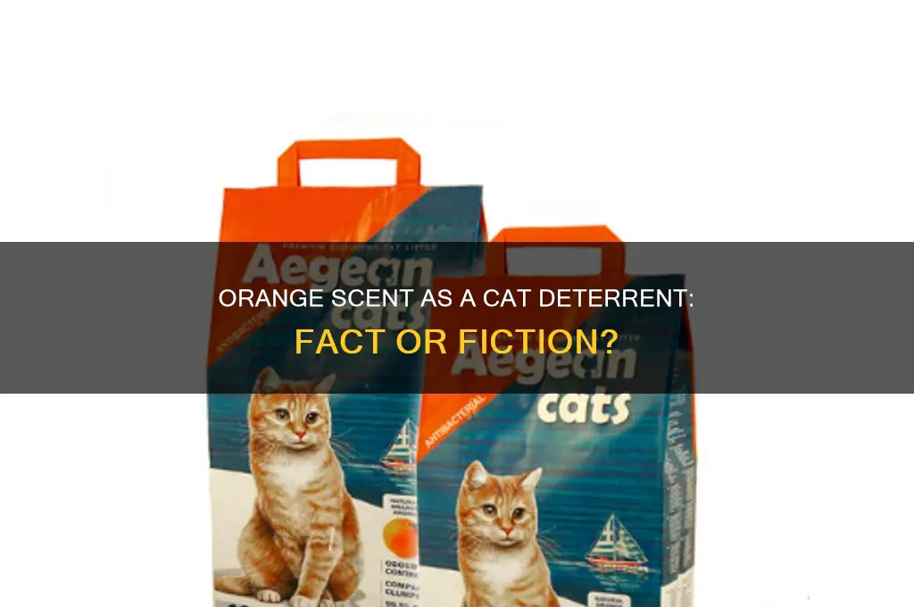 does orange scent keep cats away