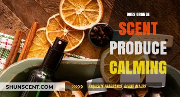 Can Orange Scent Really Help You Relax and Unwind?