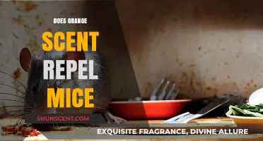 Orange Scent as a Mice Repellent: Fact or Fiction?