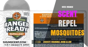 Can Orange Scent Keep Mosquitoes Away? Uncovering the Truth