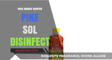 Orange Scented Pine Sol: Effective Disinfectant or Just a Fresh Smell?