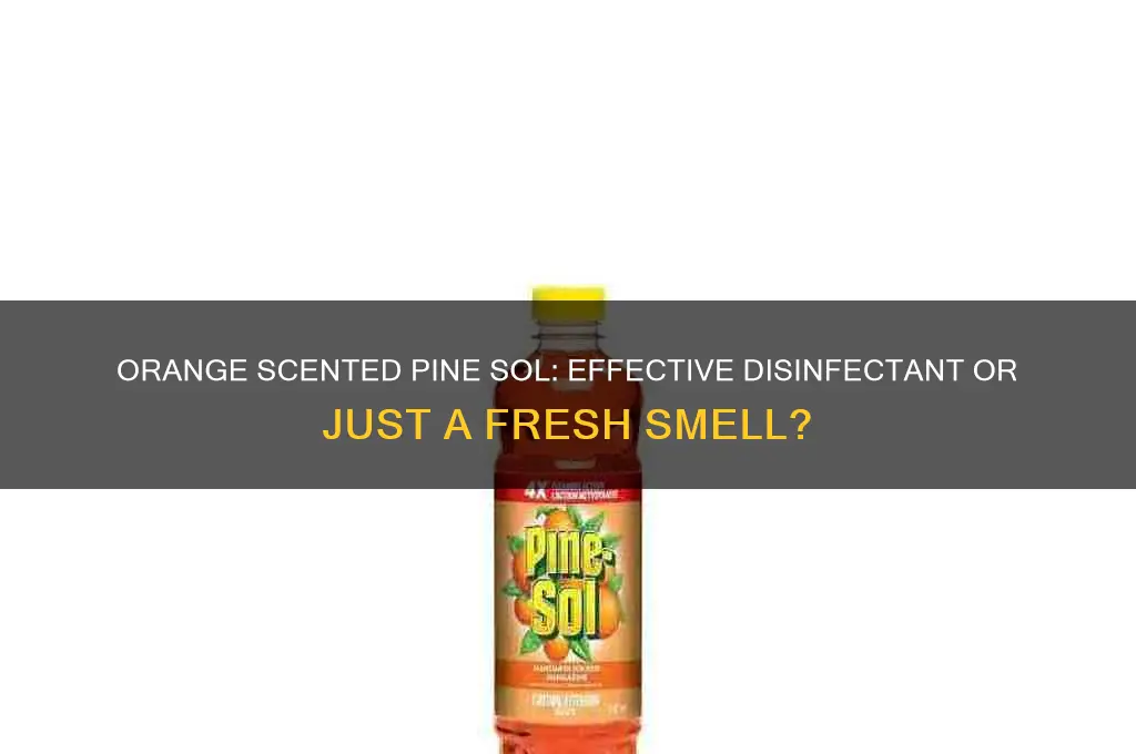 does orange scented pine sol disinfect