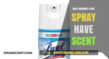 Does Original Lysol Spray Have a Scent? Uncovering the Truth