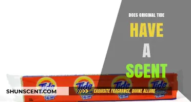 Does Original Tide Have a Scent? Uncovering the Truth Behind the Smell