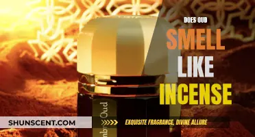 Oud and Incense: A Fragrant Comparison